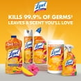 thumbnail image 6 of Lysol Brand New Day All Purpose Cleaner Mango & Hibiscus, Deep Clean 32 fl oz, 6 of 10