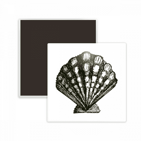 

Scallop Marine Life Black Illustration Square Ceracs Fridge Magnet Keepsake Memento