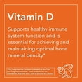 thumbnail image 4 of Now Foods, Vitamina D3, 5000 IU, 120 cápsulas NowFoods  5K120, 4 of 5