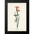 thumbnail image 2 of Audubon, John James 17x24 Black Modern Framed Museum Art Print Titled - Pl. 15 Blue Yellow-back Warbler, 2 of 5
