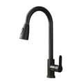thumbnail image 2 of Grifo de cocina Kusrkot Mezclador extraíble monomando de dos funciones de agua fría y caliente negro, 2 of 8