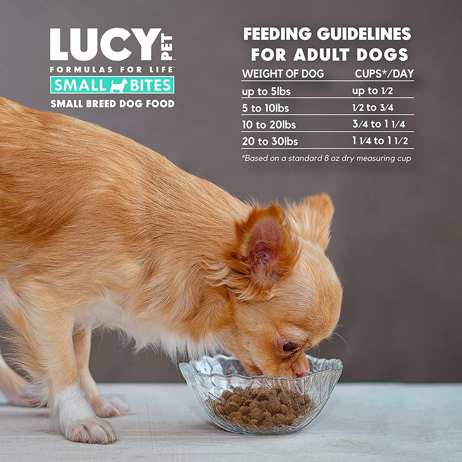 Lucy Pet Products Grain-Free Small Bites Small Breed Dry Dog Food, Salmon, Pumpkin & Quinoa, 1 Each/4.5 lb