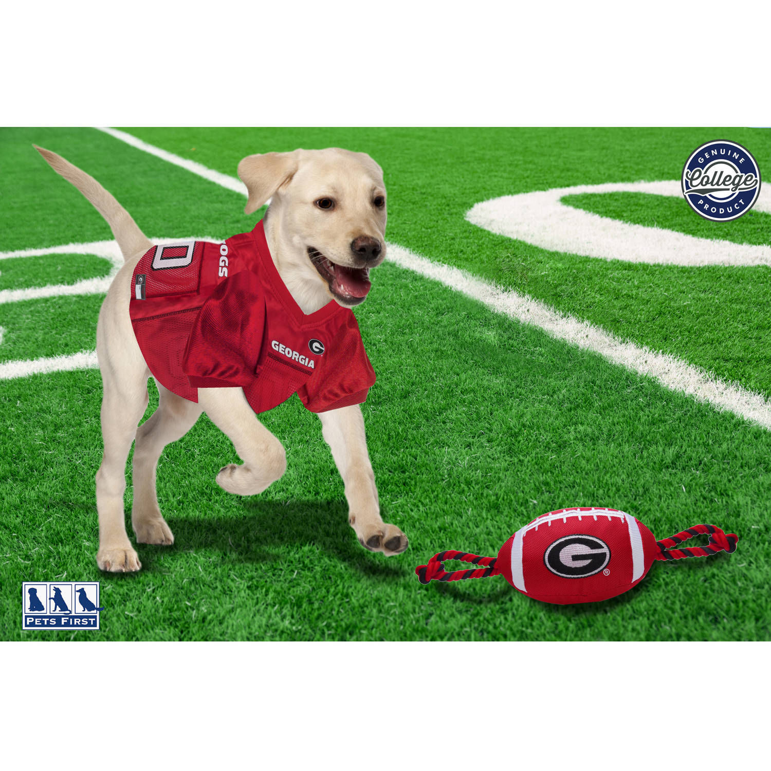 Pets First Collegiate Georgia Nylon Football-Licensed