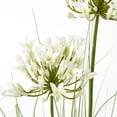 thumbnail image 3 of Hill Interiors Agapanthus Plant Pot, 3 of 4