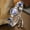 Silver Belt blue diamond, variant on New Round Diamond Water Drop Alloy Bracelet Watch Compact Women's Quartz Watch