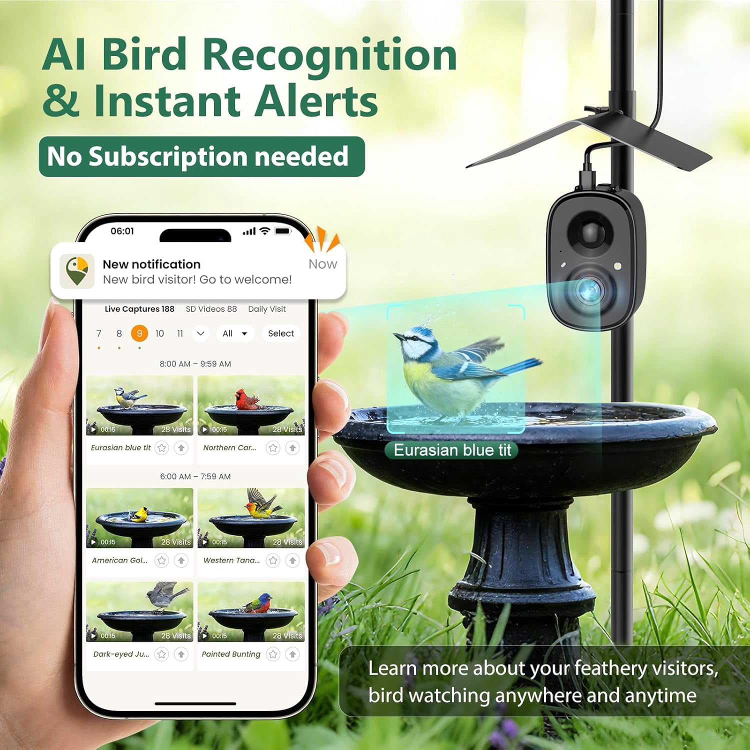 Smart Bird Feeder Camera Solar Powered with Pole