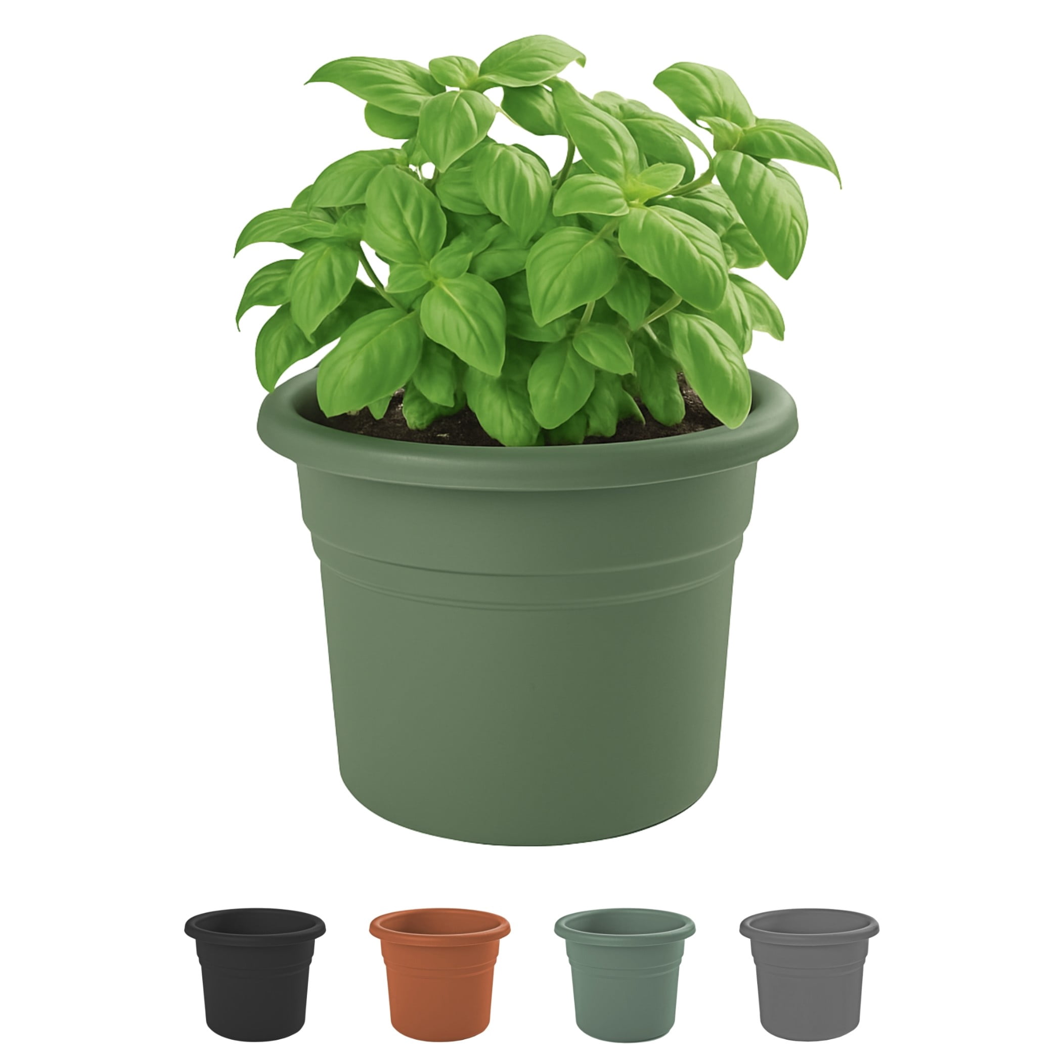 Bloem Posy 16" Round Plastic Planter, UV-Resistant Indoor/Outdoor Pot, Basil