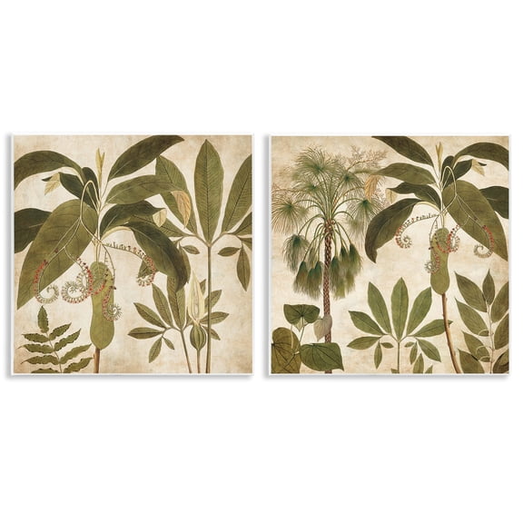 Stupell Industries Vintage Botanical Tropics Plants & Flowers Painting Unframed Art Print Wall Art, 12 x 12, Set of 2
