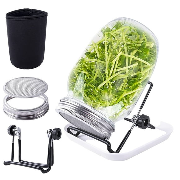 Bewildely Tarro de vidrio para brotes de brócoli, cocina, tarro de brotes de frijol limpio y ordenado, Kit de árbol bonsái Sprossenglas Jardín y Patio A