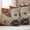 Light Gray Orange White, variant on Burnt Orange Grey Black Flower Outdoor Waterproof Pillow Covers, Spring Floral Botanical Decorative Square Throw Pillowcase Sofa Cushion Sham for Patio/Couch/Chair, 18"x18" 2 Pack