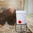 thumbnail image 4 of unbranded Soporte Para Bebedero De Gallinas De Metal Resistente Color Negro Para Granjas Domésticas, 4 of 8