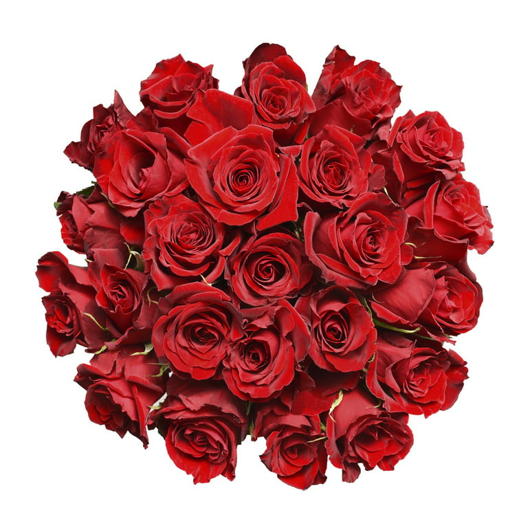 Red Roses - Farm Direct Fresh Cut Flowers - 50 Stems - by Bloomingmore