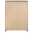 thumbnail image 4 of Pemberly Row Farmhouse 5-Drawer Farmhouse Wood Chest in Brown and Light Taupe, 4 of 14