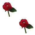 thumbnail image 1 of Wosthever Kits de ganchillo DIY paquete de material de costura de rosas rojas para adultos amantes del ganchillo Rosa 2Conjunto, 1 of 1