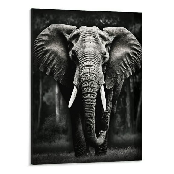 Creowell Black and White African Wild Animal Photo Wall Art,Elephant Picture Canvas Wall Poster Printing,Brave Inspirational Wall Art For Bedroom Living Room Decor(16x20 inch)