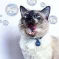 thumbnail image 2 of Pet Qwerks IncrediBubbles Cat Toy with Catnip, Blue, 2 of 6