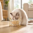 thumbnail image 2 of Qholemyo Slanted Glass Pet Bowl Pet Food Bowl Non Knock Feeding Bowl Neck Protection For Cats And Teddy Dogs, 2 of 6