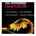 thumbnail image 3 of 2X - Garnier Olia Oil Powered Ammonia Free Permanent Hair Color 6.0 Light Brown - 1 kit, 3 of 5