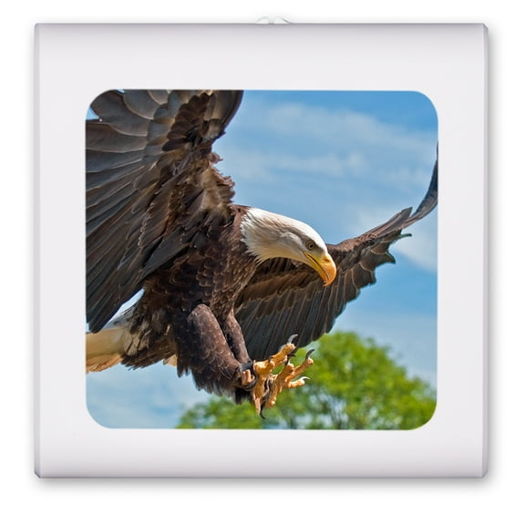 Plug in Dimmable LED Night Light with Dusk to Dawn Auto Sensor, Adjustable Brightness, Warm Light, Auto On/Off Nightlight for Bathroom, Hallway, Nursery, Bedrooms - Attacking Eagle