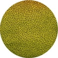 thumbnail image 1 of Ahgly Company Machine Washable Indoor Round Transitional Dark Bronze Brown Area Rugs, 8' Round, 1 of 7