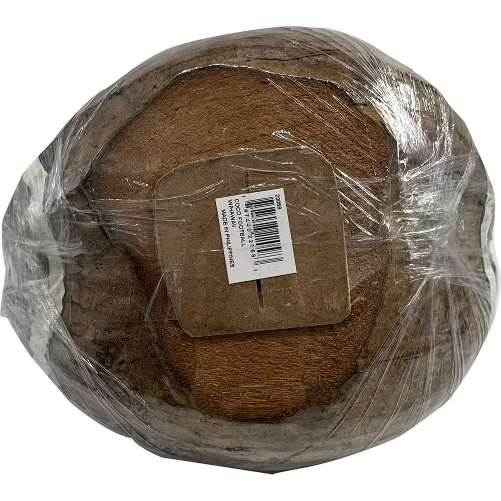 South Seas Native Treasures Real Coconut Football Money Bank