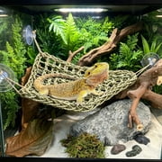 Cififendec Hand Woven Reptile Hammock, 15.74", Suction Cup Hanging Lizard Snake Climbing Bed Natural Fiber Terrarium Landscape Decor for Amphibian Habitat