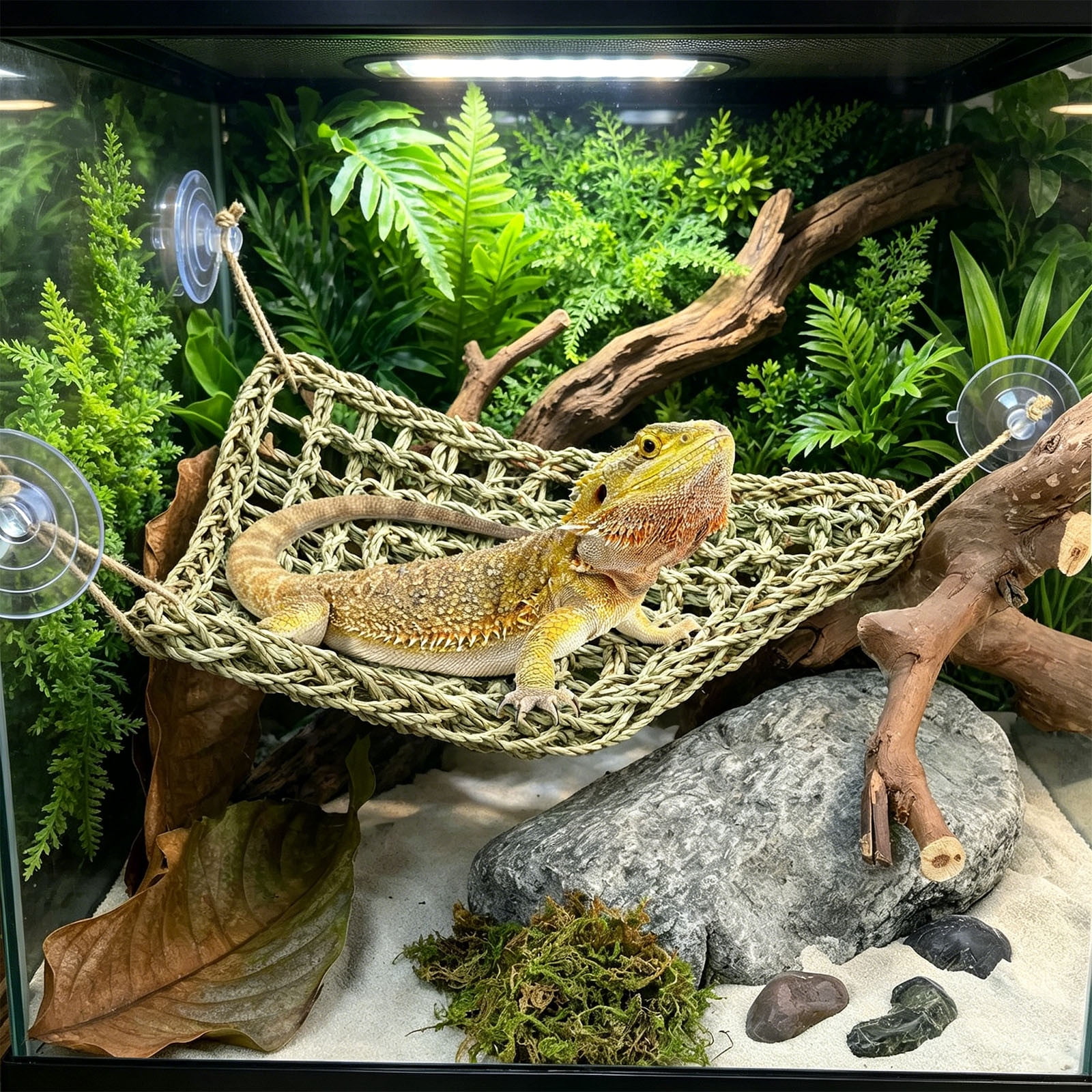 Cififendec Hand Woven Reptile Hammock, 15.74", Suction Cup Hanging Lizard Snake Climbing Bed Natural Fiber Terrarium Landscape Decor for Amphibian Habitat