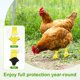 thumbnail image 5 of Uxcell 1-Pack Zapatos para Pollos, Botas Antideslizantes de Malla para Pies de Gallinas/Gallo Uso Interior Exterior [Amarillo, Tamaño S], 5 of 6
