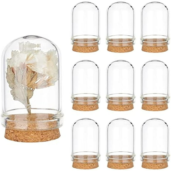 10pcs Cloche Bell Jar Display Dome with Cork Base 8ml Mini Glass Bottles Dome Decorative Jars Display Case for Flower Storage Home Christmas Party Favor Decoration 0.86x1.4inch DIY