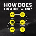 thumbnail image 5 of Ascent Clean Creatine Monohydrate Powder, Unflavored, 45 Servings, 5 of 10