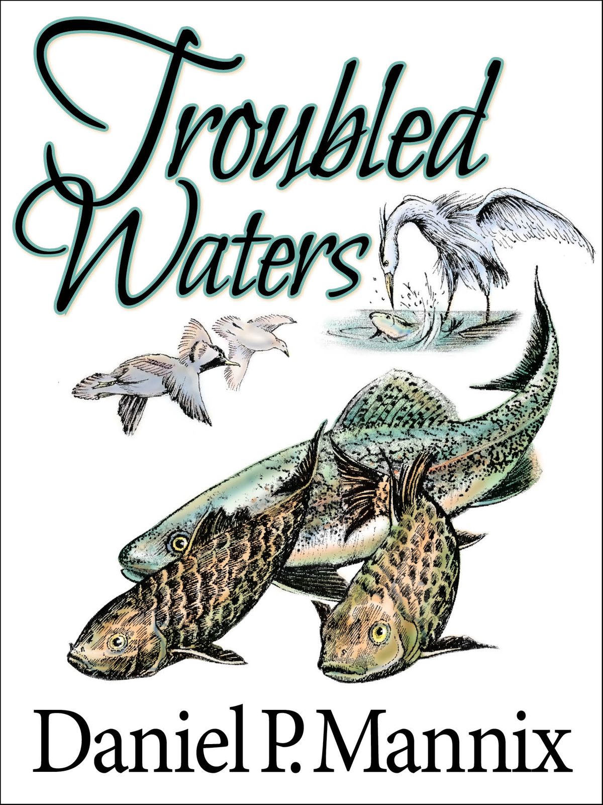 Troubled Waters eBook