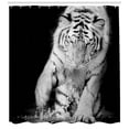 thumbnail image 3 of Ambesonne Tiger Shower Curtain, Large Cat Plays in Water, 69"Wx84"L, Black Pale Grey, 3 of 3