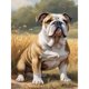 thumbnail image 1 of Pintura De Diamante 5D DIY Kit De Cachorro De Taladro Redondo Completo Decoración Del Hogar 30x40cm, 1 of 9