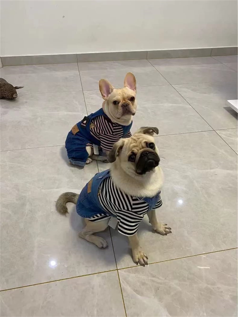 Pet Dog Striped Jumpsuit Dog Denim Overalls Suit Suitable Autumn Winter Pet  Clothes - Pet Supplies - Temu Australia