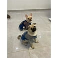 thumbnail image 7 of Coloody Tiktok Dog Denim Overalls for Small Medium Large Dogs Cats, 7 of 7