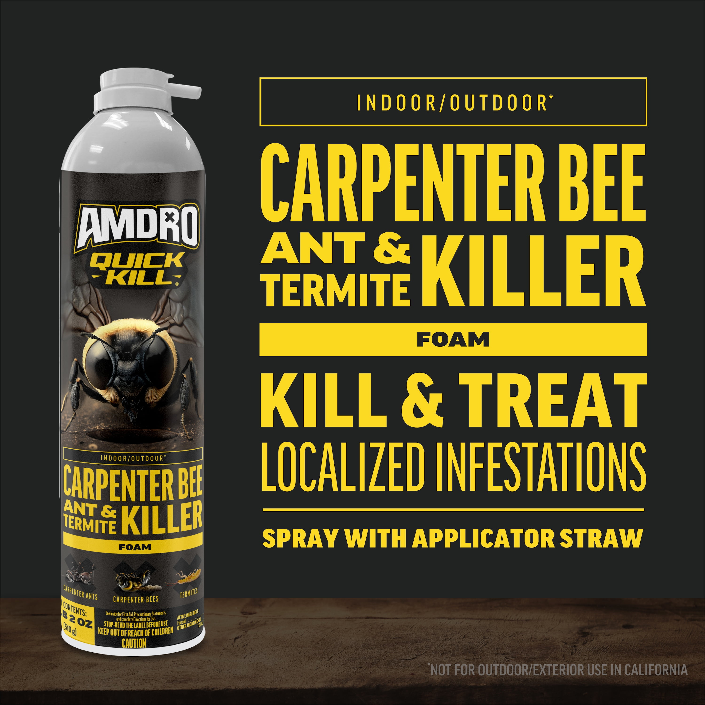 Amdro Quick Kill Carpenter Ant, Bee, Termite Killer Foam 18oz 2