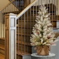 thumbnail image 5 of National Tree Company 3 Foot Pre Lit Dunhill Fir Artificial Christmas Tree, 5 of 5