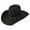 Black, variant on RESISTOL Men's Hooey Day Money Cowboy Hat Gray