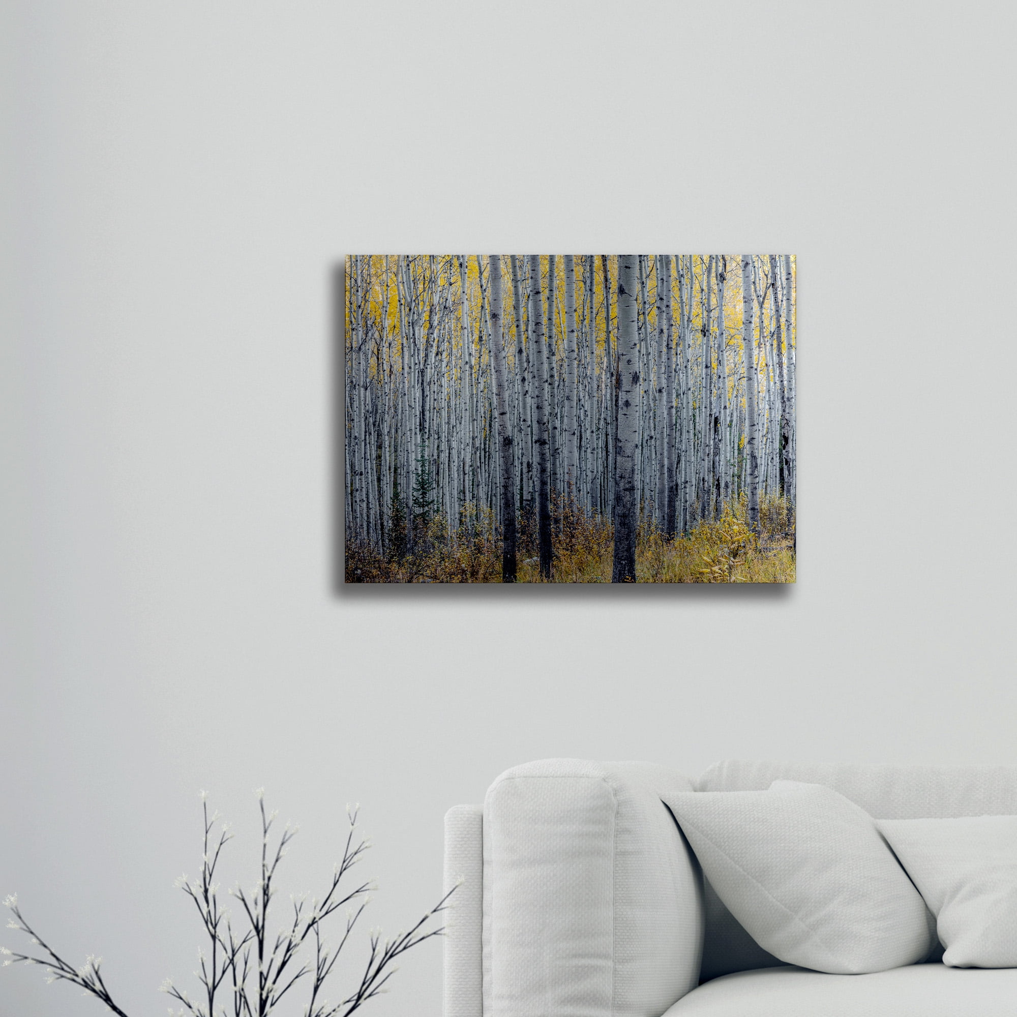Trademark Fine Art 'Forest of Aspen Trees' Brushed Aluminum Wall Art Art by Pierre Leclerc