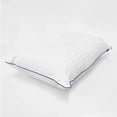 thumbnail image 1 of ALMOHADA LUXURY COILED COMFORT FIRME 4, 1 of 2