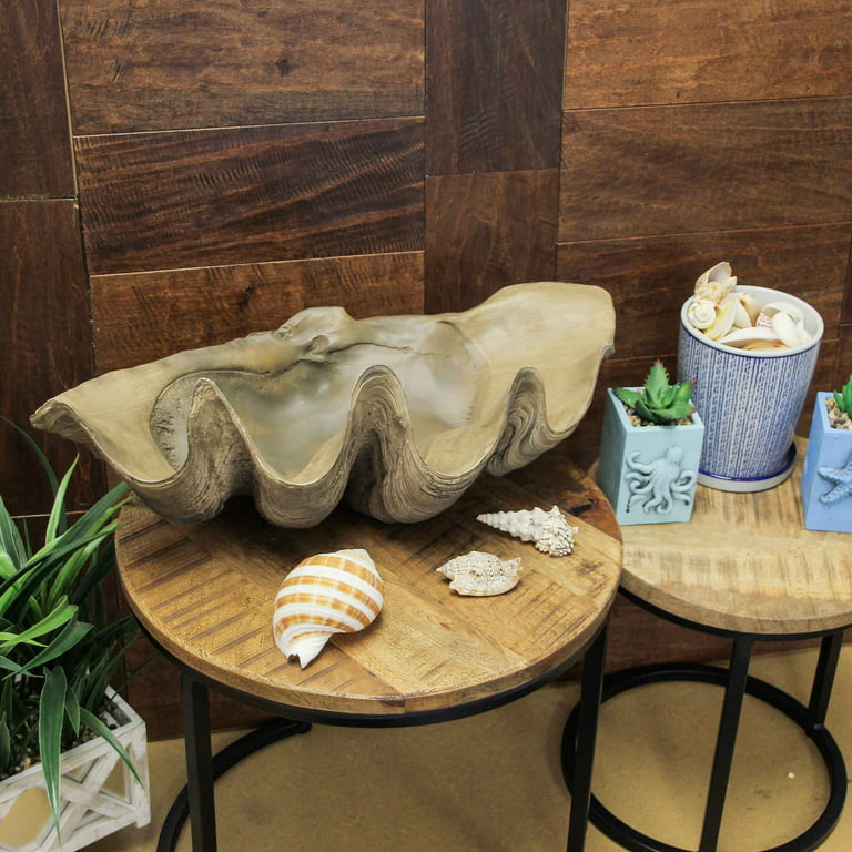 Contrast Lifelike Cast Polyresin Giant Clam Shell Decorative Bowl 