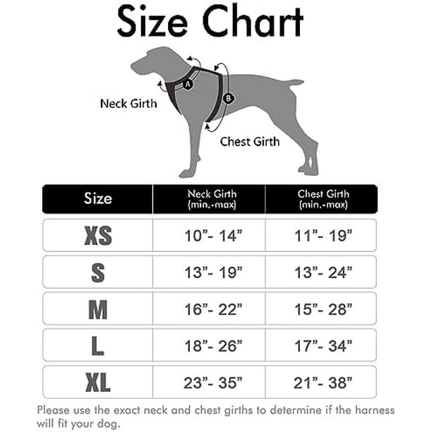 Rabbitgoo harness discount