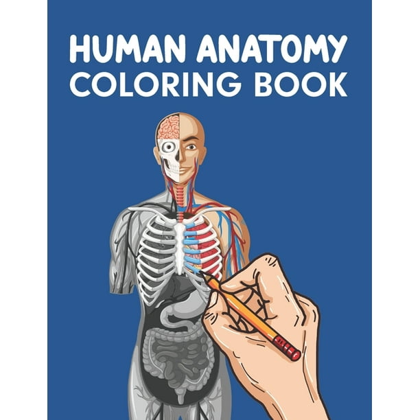 Download Human Anatomy Coloring Book Paperback Walmart Com Walmart Com