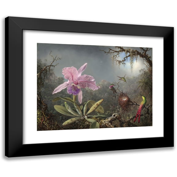 Martin Johnson Heade 14x12 Black Modern Framed Museum Art Print Titled - Cattleya Orchid and Three Hummingbirds (1871)