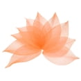 thumbnail image 1 of 100 Pcs Hojas Esqueléticas Naranjas, 2"- 3" Hojas Prensadas de Árbol de Caucho para Álbumes de Fotos y Manualidades, 1 of 7