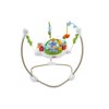 Fisher-Price Zoo Party Jumperoo