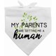 thumbnail image 1 of Family Kitchen Fun Pet Puppy Dog Bandana Scarf - My Family A Human Pet Scarf Accessories, Domestic Animal Accessories for Dog Lovers Gifts, 1 of 4
