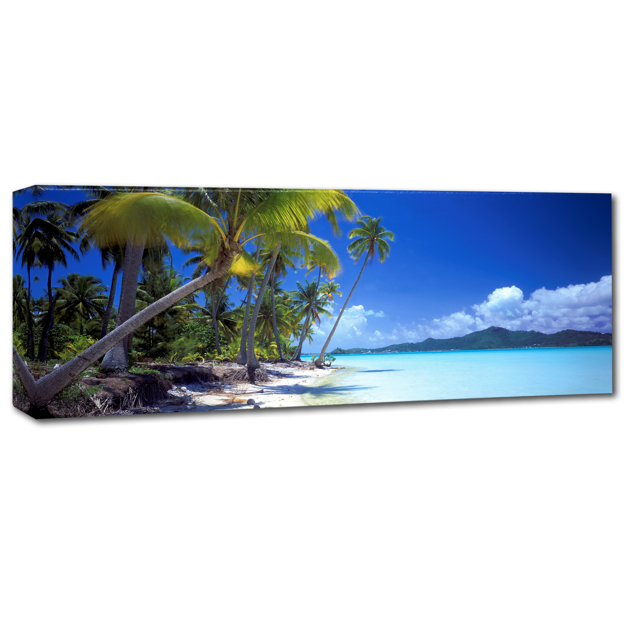 Trademark Fine Art 'Tropical Paradise' Canvas Art by Doug Cavanah
