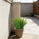 thumbnail image 4 of A Artificial Bostons Ferns UVs Resistants Fade Resistants Plastic Greenerys For Indoor Outdoor Hanging Pots Porch Patio Home Office Decor, 4 of 6