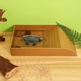 thumbnail image 3 of Tazón de agua para tortugas, plato de agua para reptiles, plato de alimentación para tortugas, plataforma de baño para reptiles, tanque para tortugas, piscina para tortugas con rampa, 3 of 7